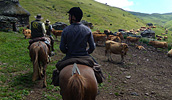 Paseo a caballo por Asturias