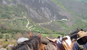 Paseo con caballo en Asturias