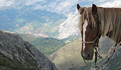 Paseo a caballo por Asturias