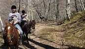 Paseo con caballo por Asturias