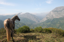 Paseos a caballo por Asturias
